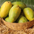 Himayat (Imam Pasand) Mango - 4Kgs