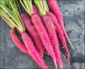 Radish Mullangi Pink 250g