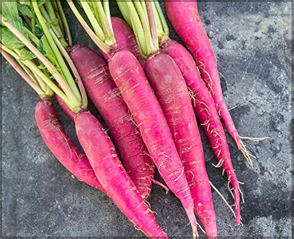 Radish Mullangi Pink 250g