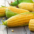 Sweet Corn 1pc