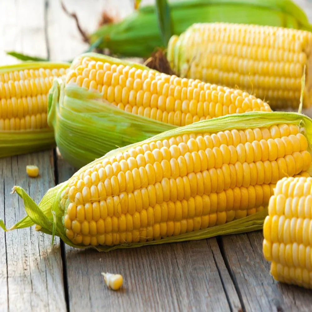 Sweet Corn 1pc