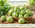 Brinjal Green Round