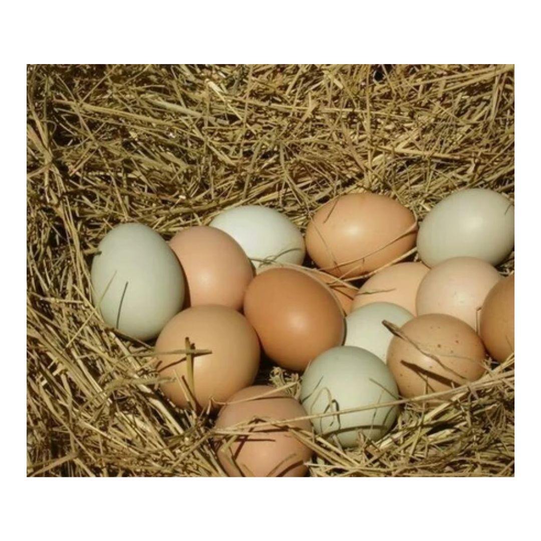 Free Range Desi Eggs - 6Pcs
