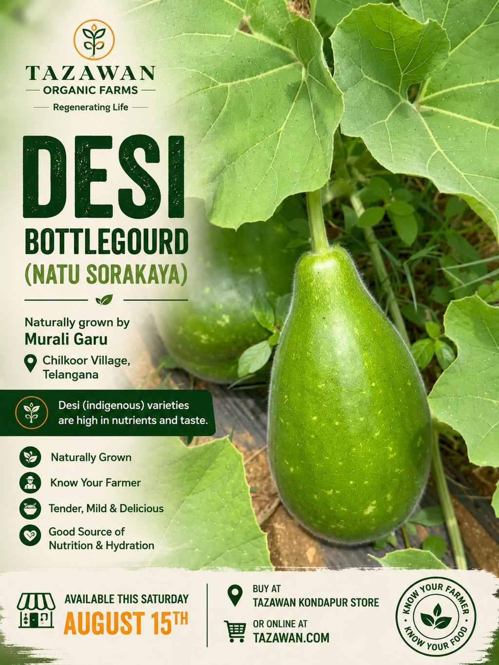 Bottlegourd (Desi Sorakaya 0.9 to 1kg)