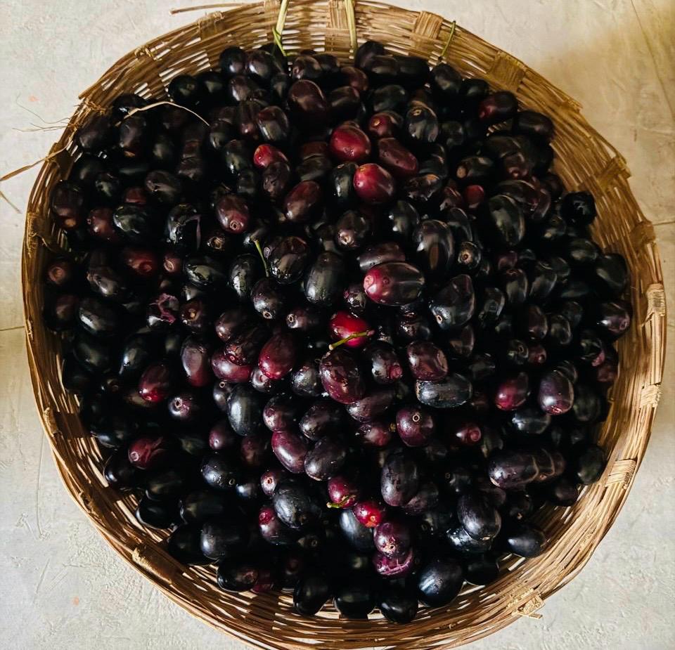 Jamun Black (Neredu) -250g