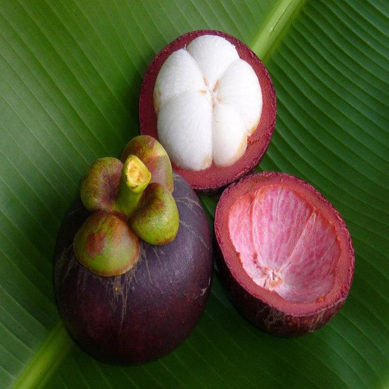Mangosteen 150g