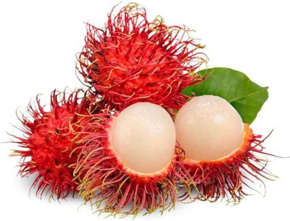 Rambutan Fruit 200gm