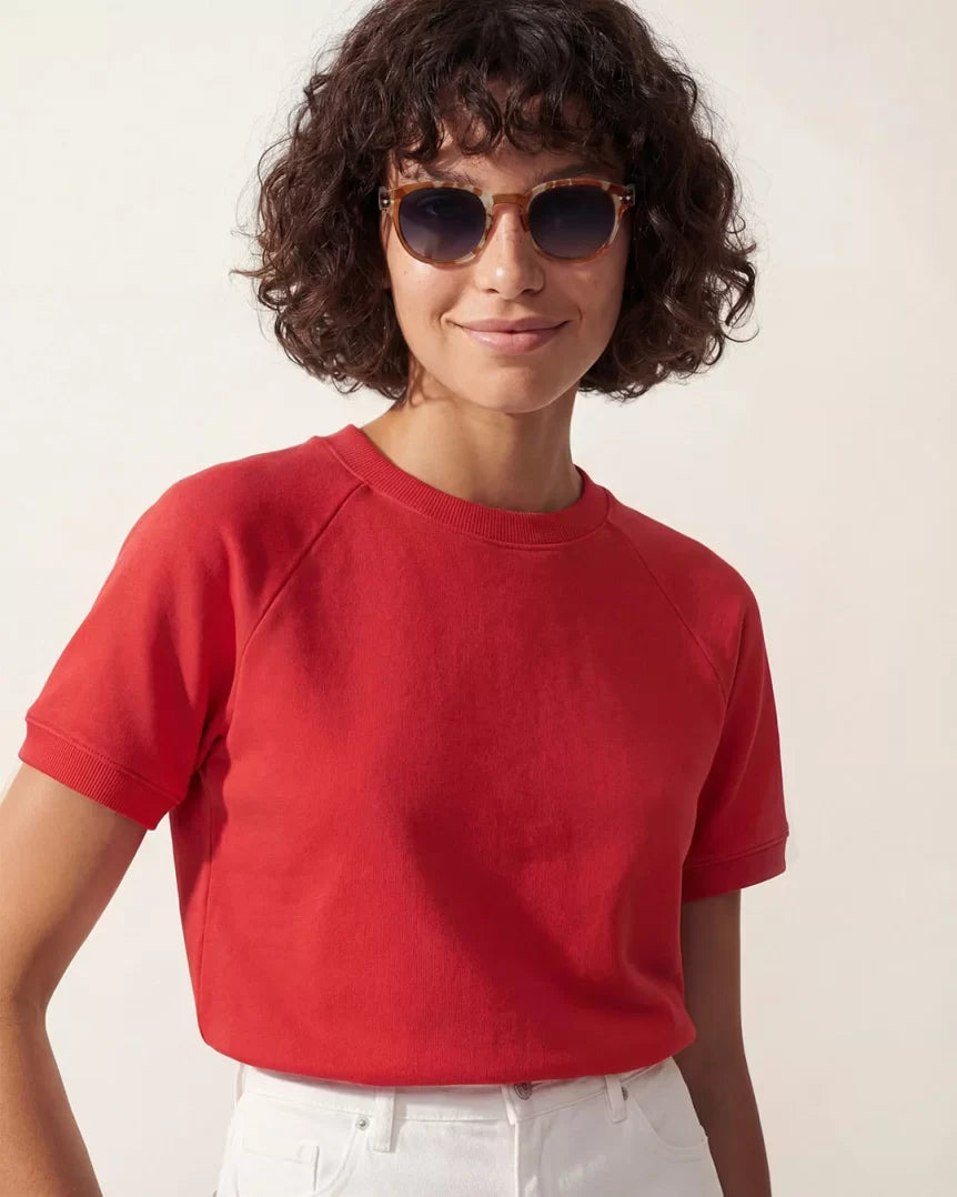 SUN C Wild Hooves Polarized
