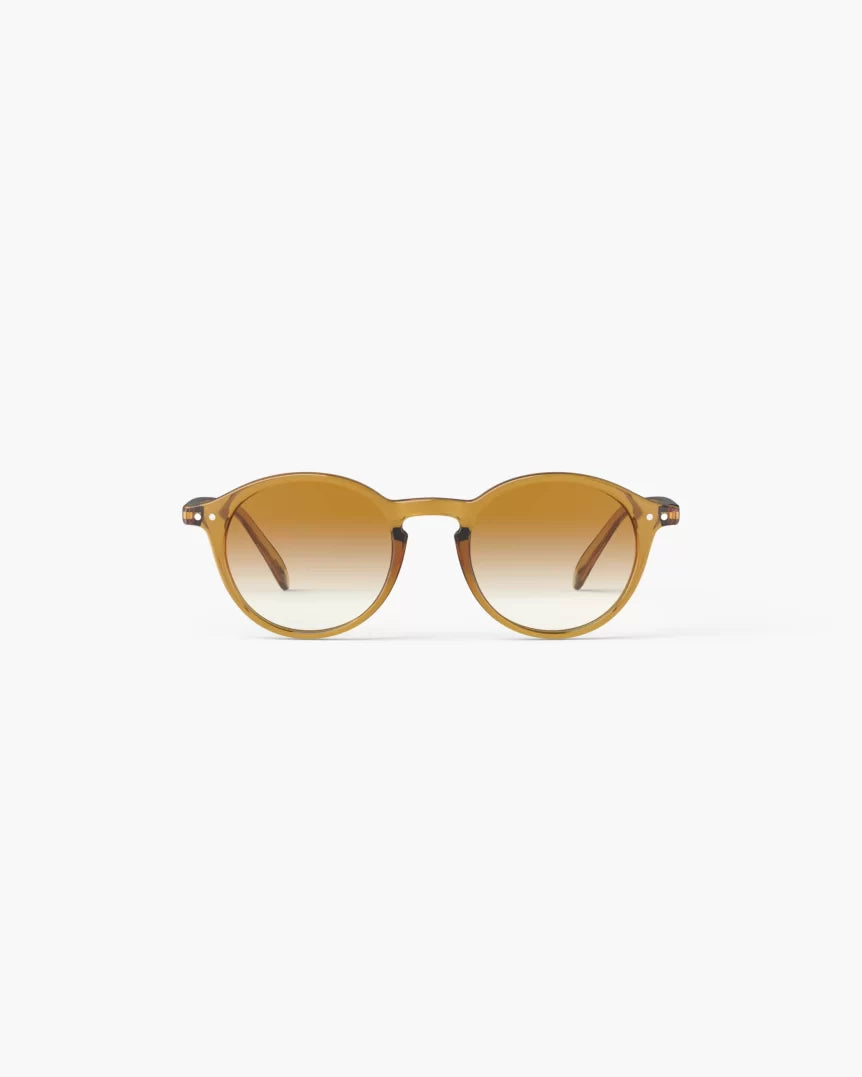 SUN D Golden Canyon Polarized
