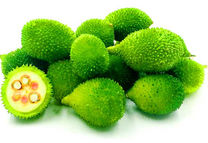 Agakara (Spine Gourd /Boda Kakara) - 250g