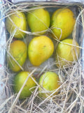 Banginapally Mango -5Kgs