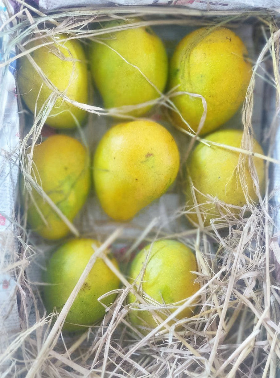 Banginapally Mango -10Kgs