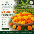 Marigold(Banthipulu) Mixed - 250g