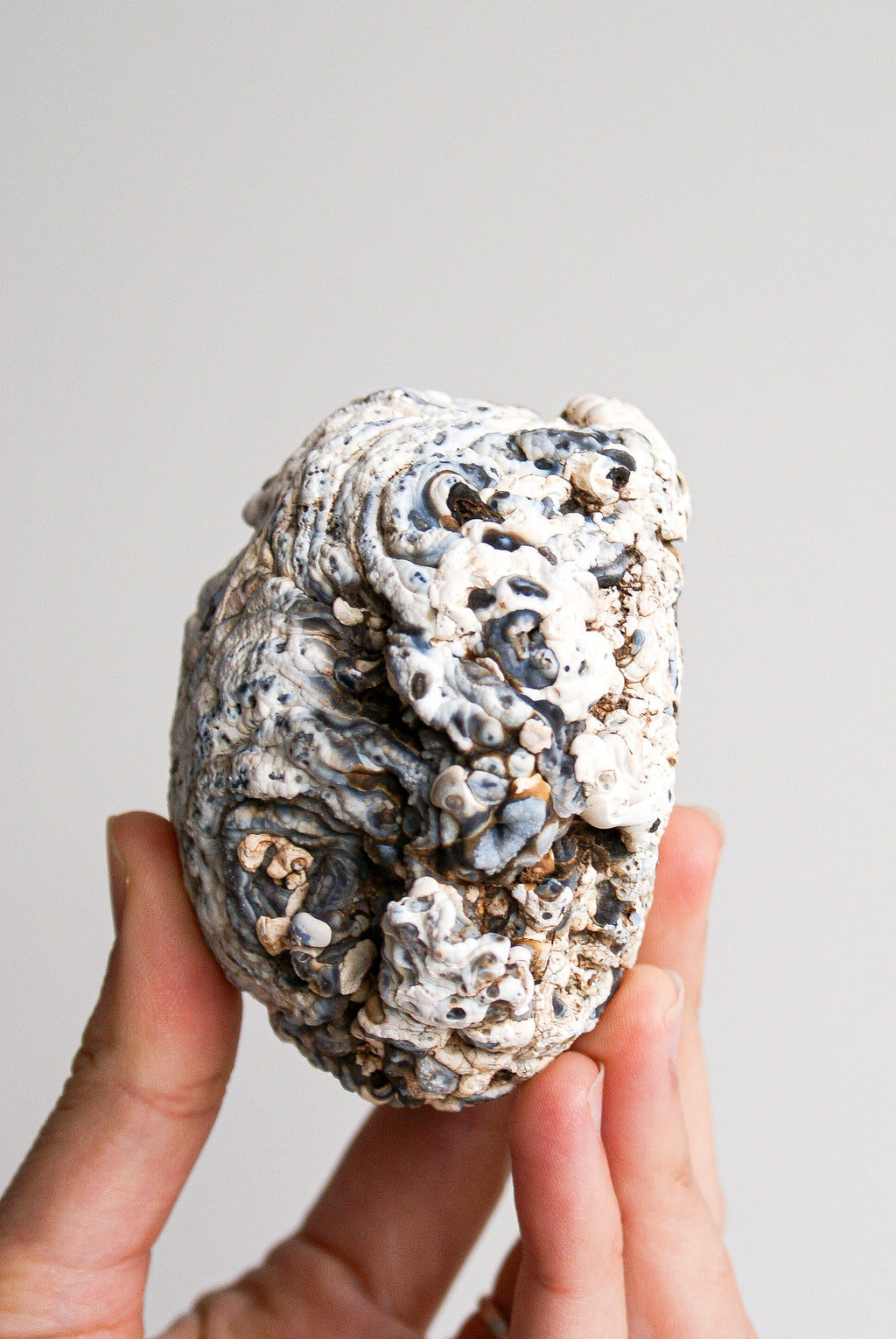 GEODINO DE ÁGATA CRISTALIZADA