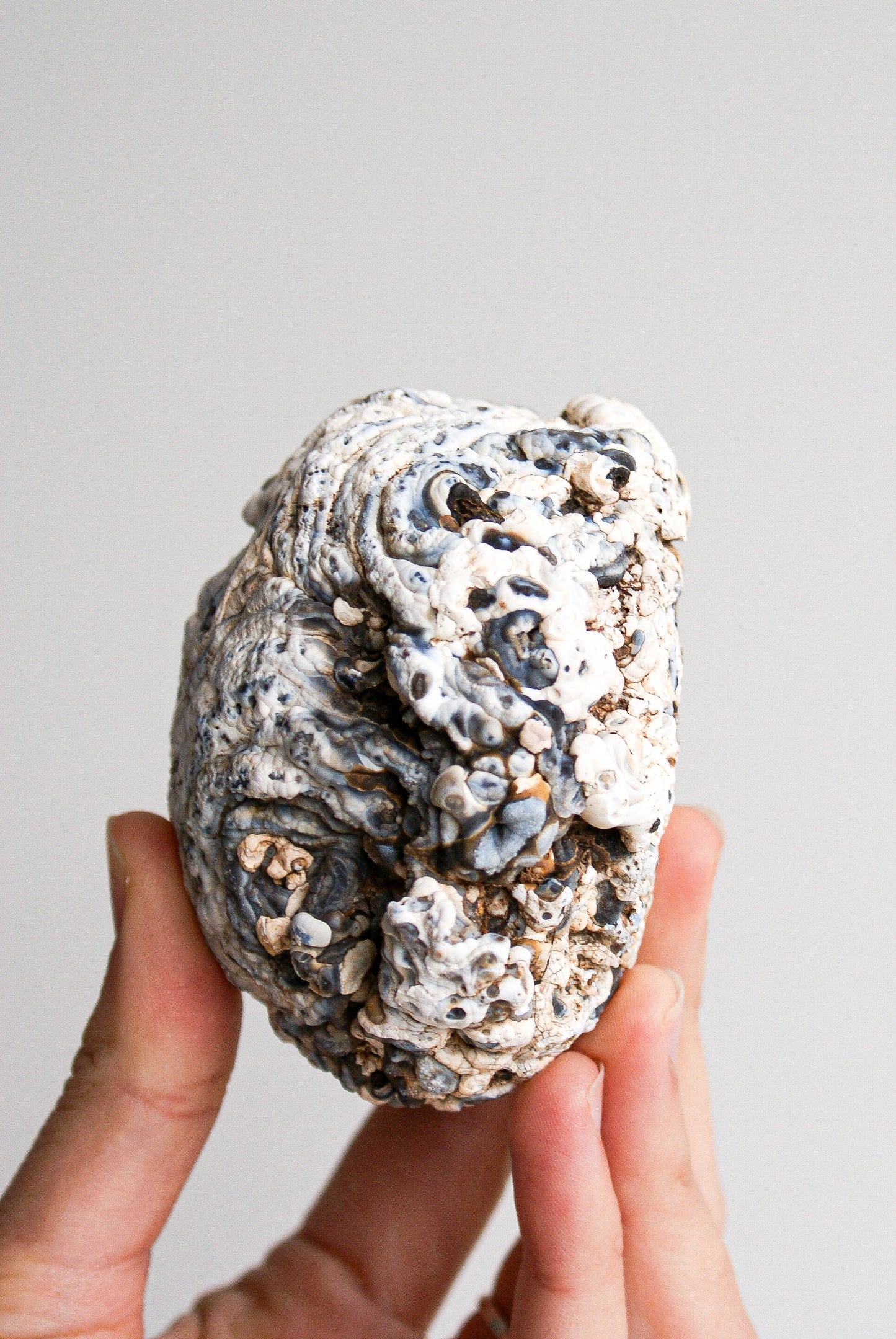 GEODINO DE ÁGATA CRISTALIZADA
