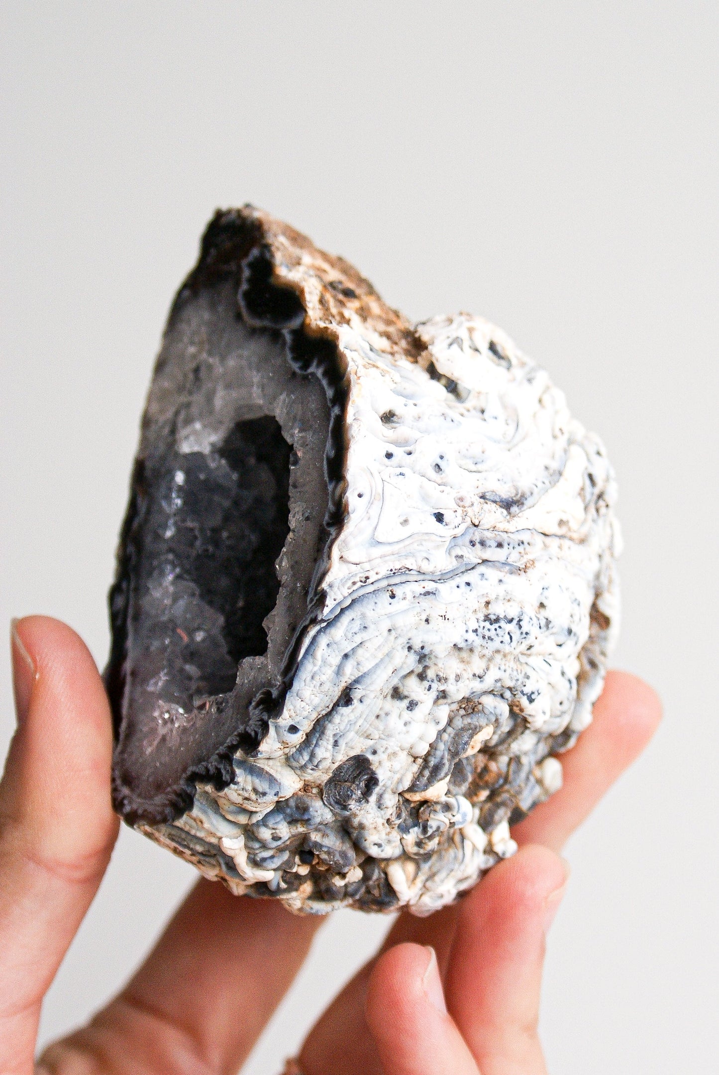 GEODINO DE ÁGATA CRISTALIZADA