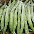 Snake Gourd 500g