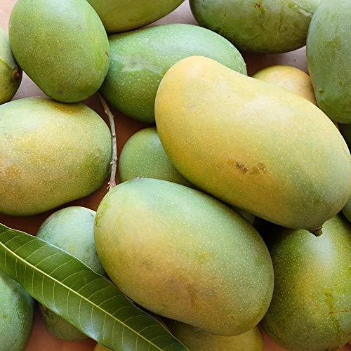 Cheruku Rasalu Mango 4Kgs