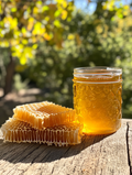 Honey (Apiculture by Araku Tribals)