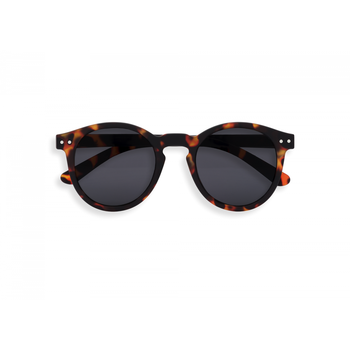 M Sun Tortoise