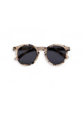 M Sun Light Tortoise