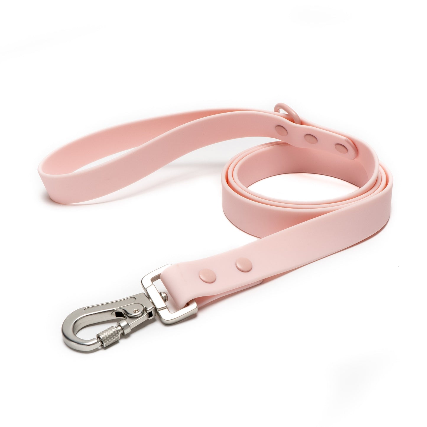 Everyday PVC Leash