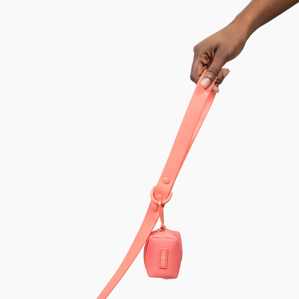 Everyday PVC Leash