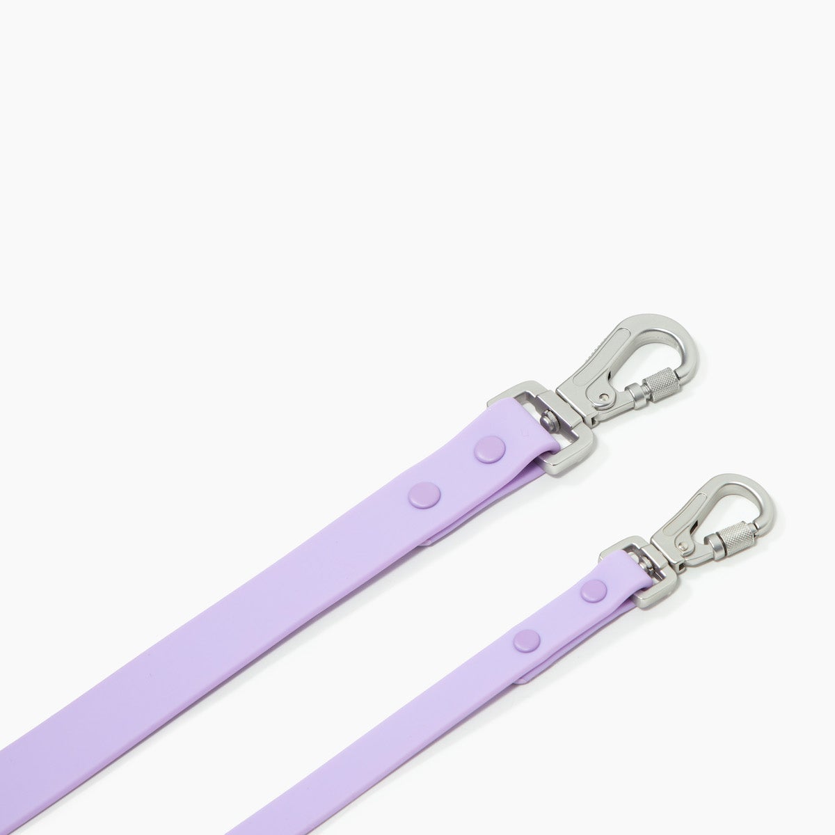 Everyday PVC Leash