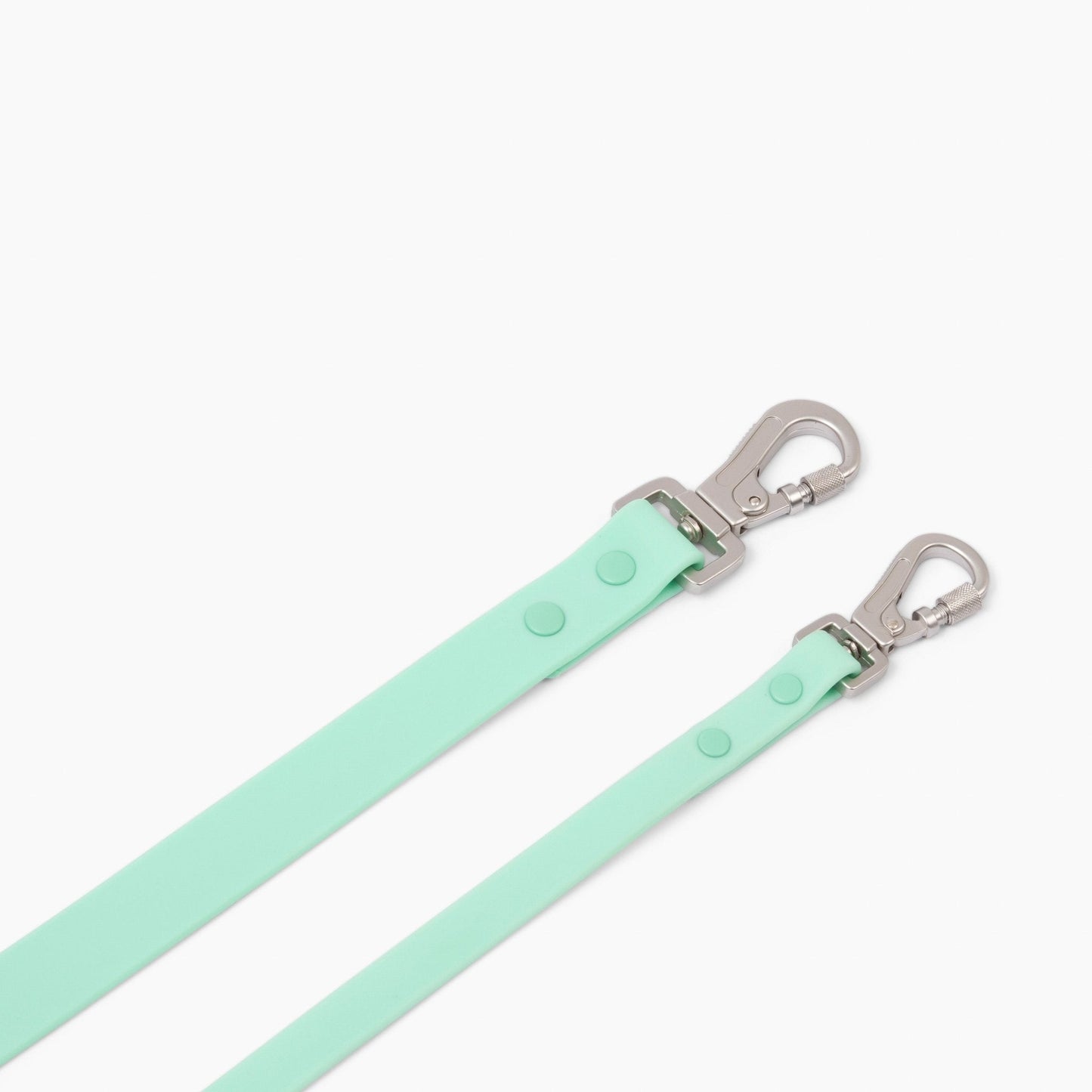 Everyday PVC Leash