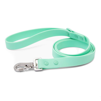 Everyday PVC Leash