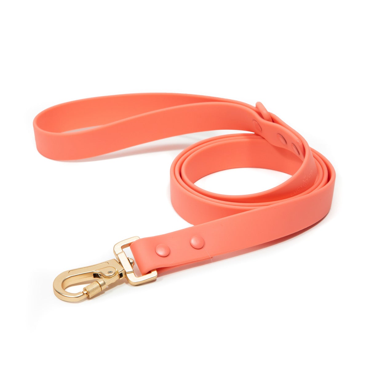 Everyday PVC Leash