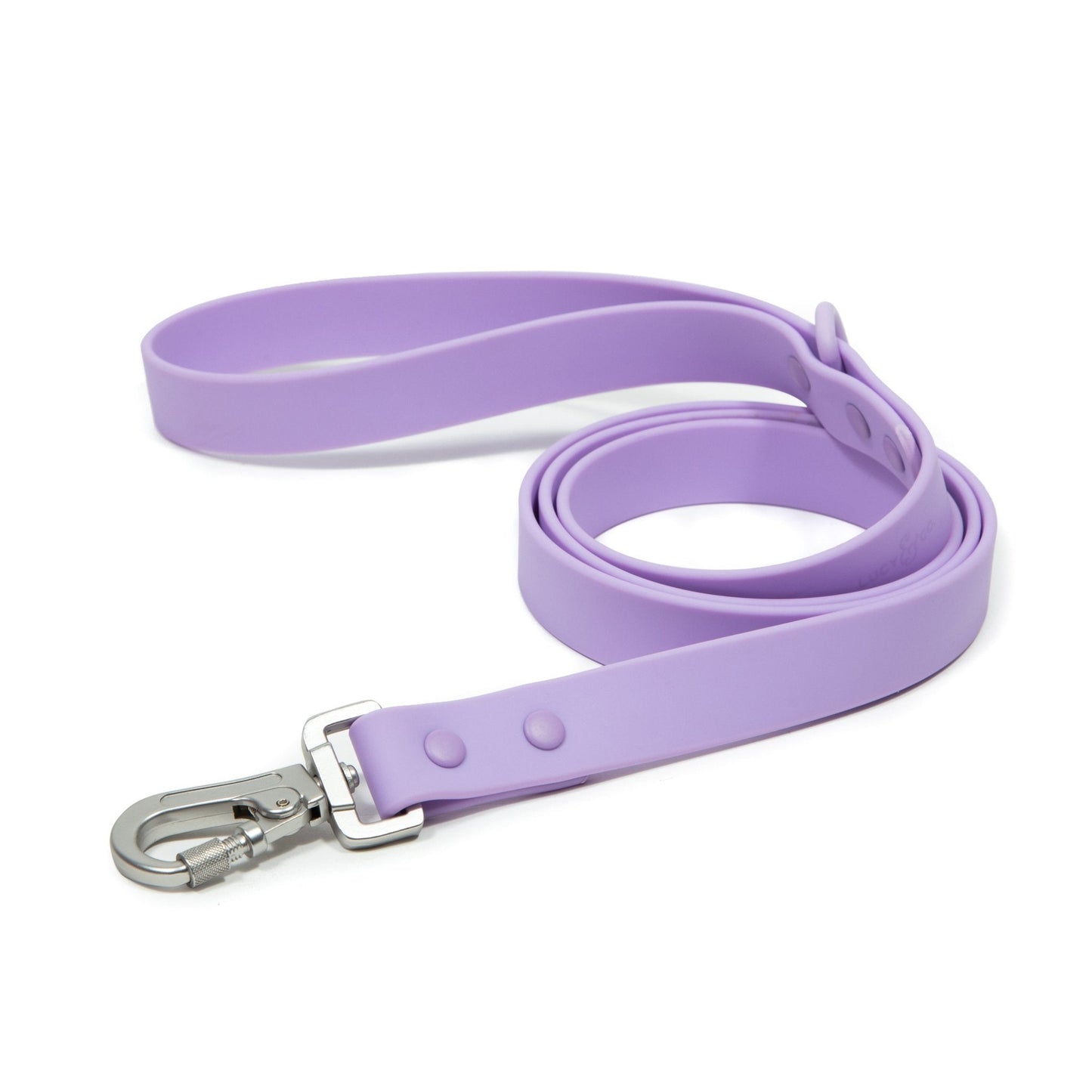 Everyday PVC Leash