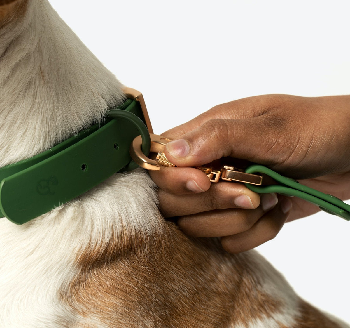 Everyday PVC Leash