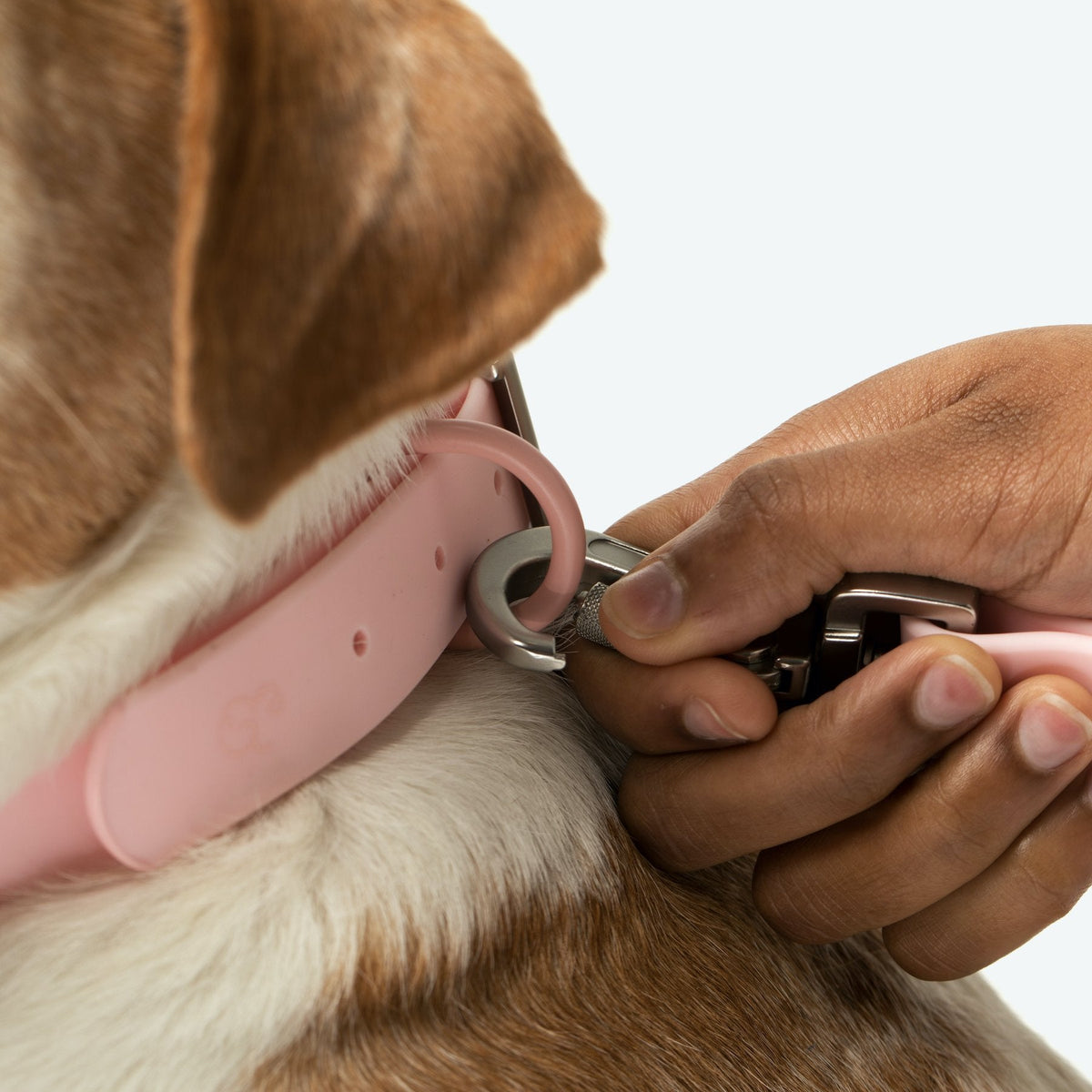 Everyday PVC Collar