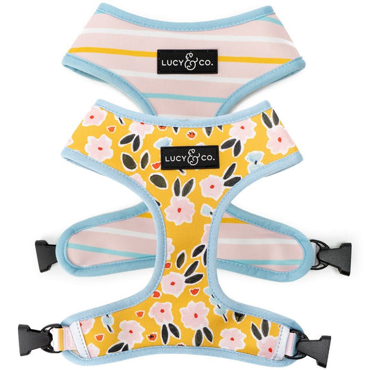 The Little Lamb Reversible Harness