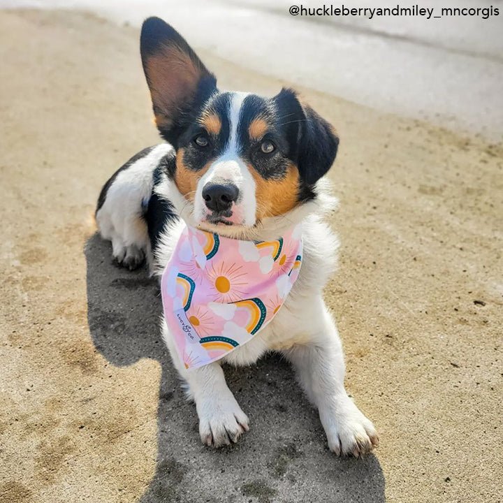 The Zoe Bandana